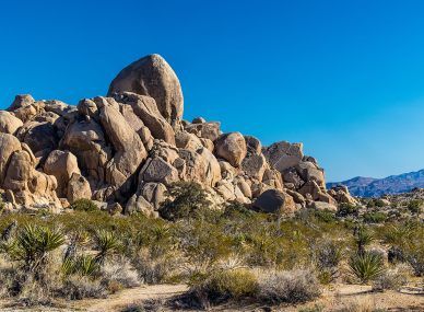 Joshua Tree National Park