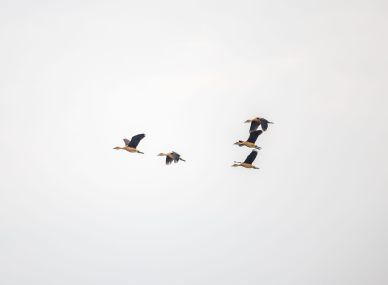 Rusizi National Park