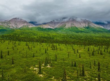 Denali National Park and Preserve