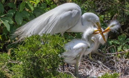 Atlantic City Cape May  Ocean City
