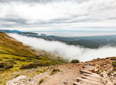 Denali National Park and Preserve