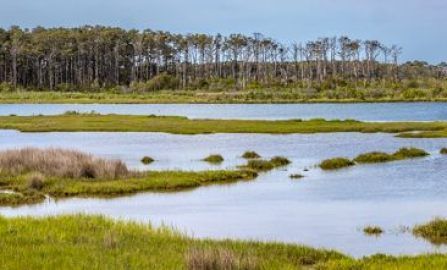 Ocean City Assateague Island NWR